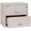 Fireproof 2 - Drawer File Cabinet-217204-331546