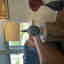 Customer photo 2 of 2