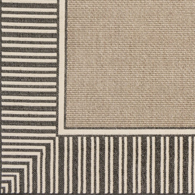 Devries Indoor Rug