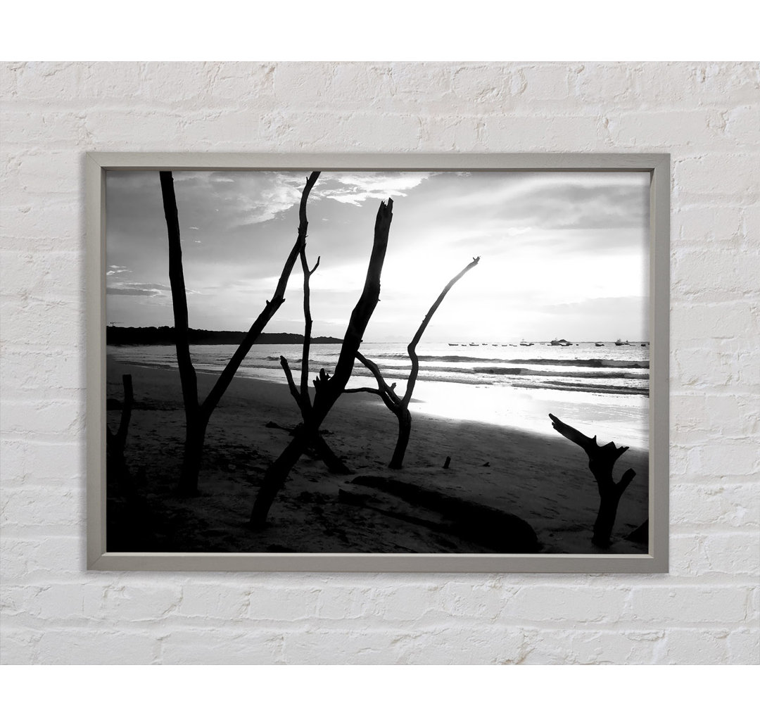 Driftwood Beach B N W - Einzelbildrahmen Kunstdrucke auf Leinwand