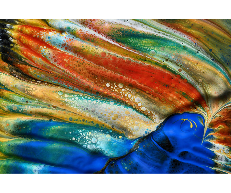 The fish, 81.28 cm H x 121.92 cm W