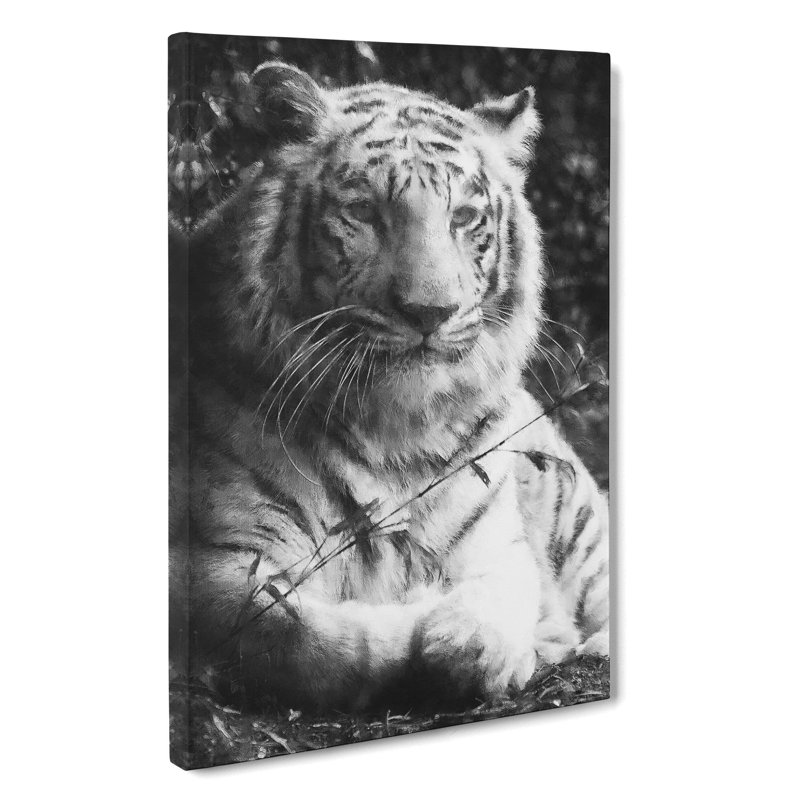 Tiger Vol.3 - Wrapped Canvas, 76cm H x 50cm W x 3cm D