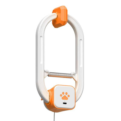  Interactive Teaser Cat Toy – Rechargeable Hanging Door Cat Toy with Remote Control, Dual Motion Modes, Motorized Mouse Teaser for Indoor Cats.