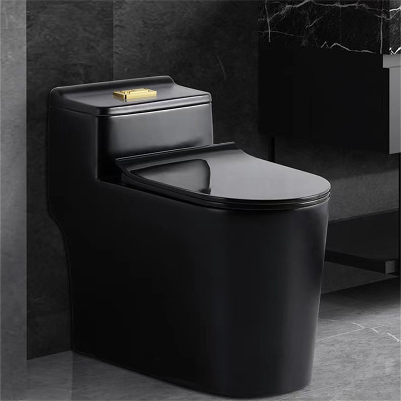 Dual-Flush Elongated One-Piece Toilet (Seat Included)