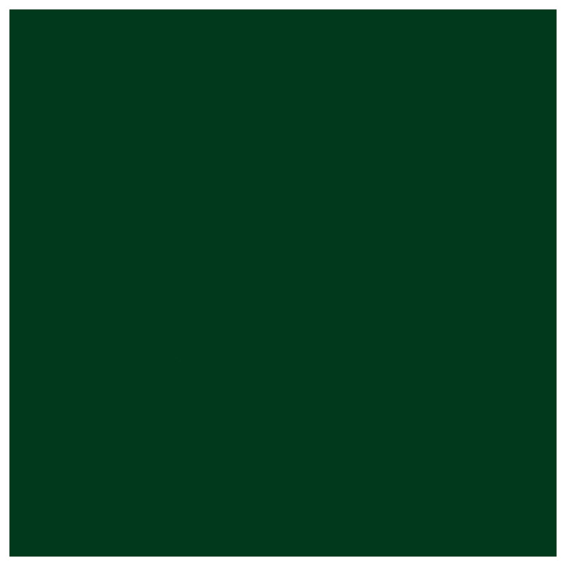 Solid Forest Green Wall Tapestry - Solid Wall Decor, 104in H x88 with 4 Grommets