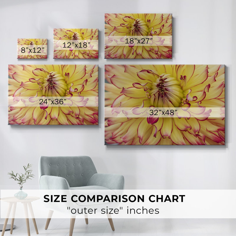 Toile tendue Blooms II-Gallery, H 18 po x l 27 po
