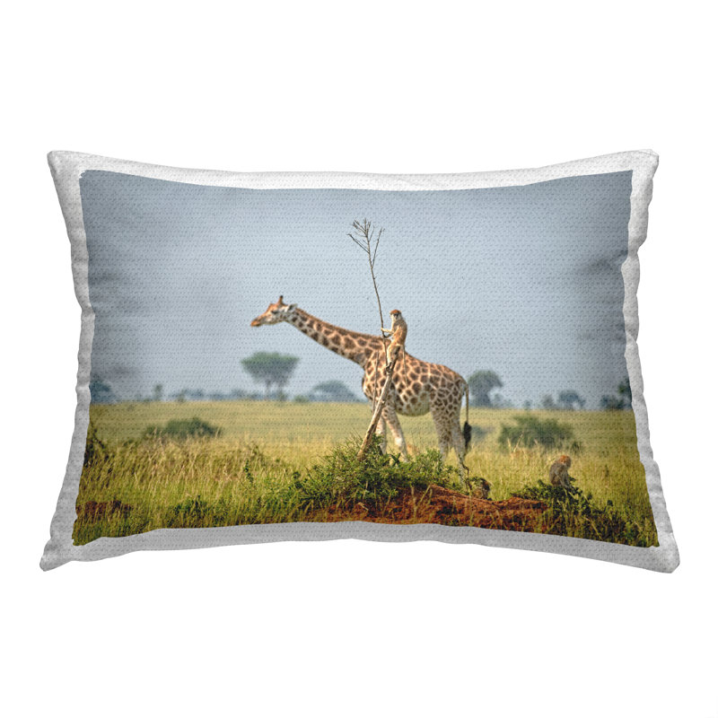 Housse et insert de coussin rectangulaire intérieur / extérieur en polyester par Dirk Jan Steehouwer