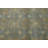 Performance Wool Oriental Indoor Rug