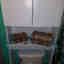 Customer photo 2 of 2