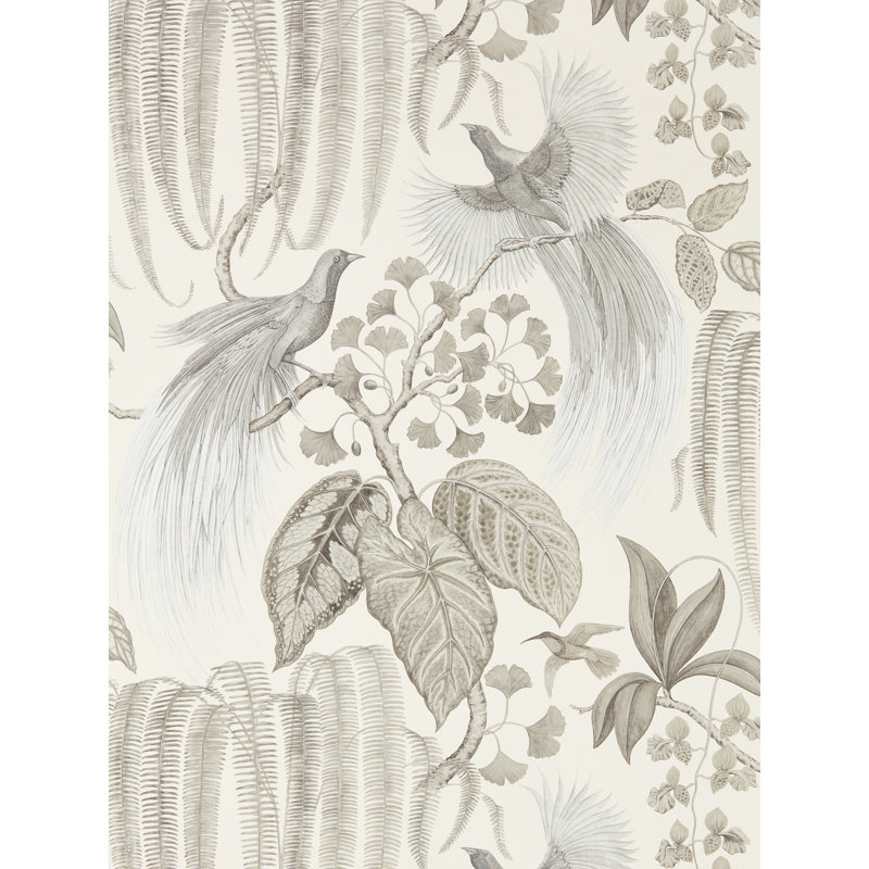 Bird of Paradise 10.05m x 68.6cm Matte Wallpaper Roll, Beige/Grey