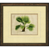 Small Crackled Horizontal Palm IV Painting