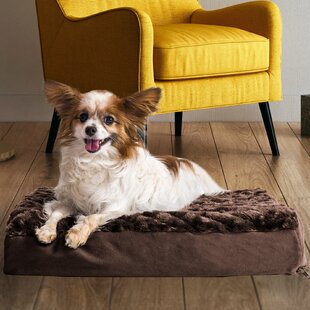 https://assets.wfcdn.com/im/98760560/resize-h310-w310%5Ecompr-r85/1360/136097397/-ultra-plush-deluxe-ortho-pet-bed-pillow.jpg