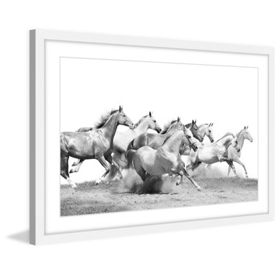 " Horseplay "