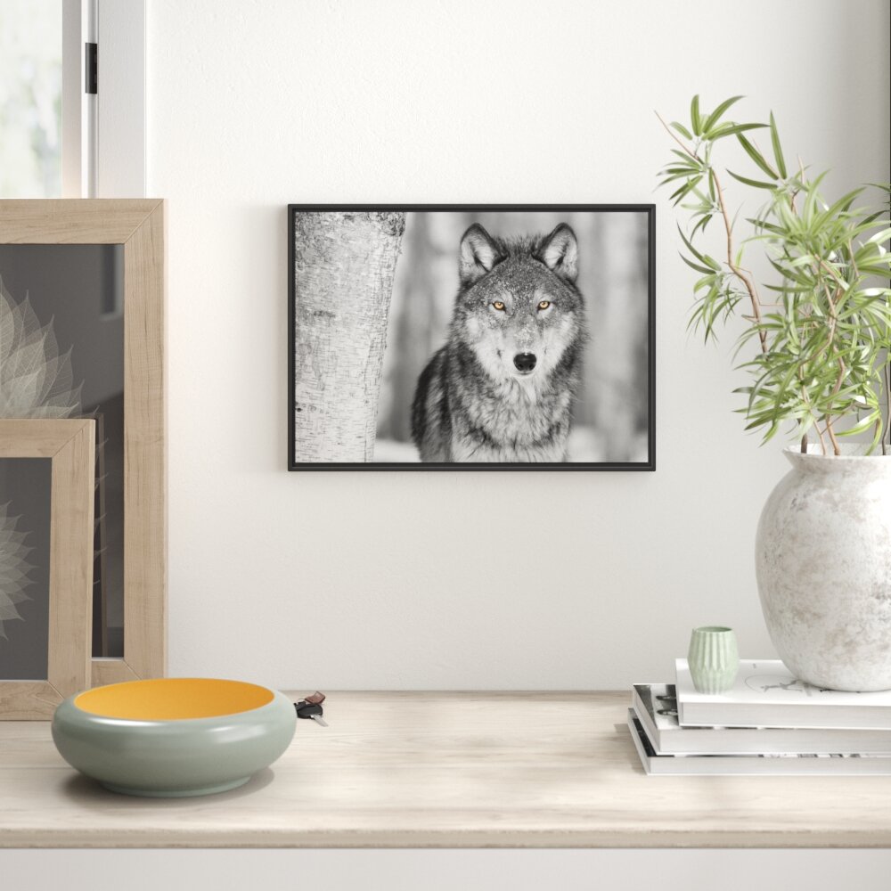 Gerahmtes Wandbild wunderschöner wachsamer Wolf