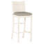 Club 30" Patio Bar Stool with Cushion-1840308949-1840307191-1813366869