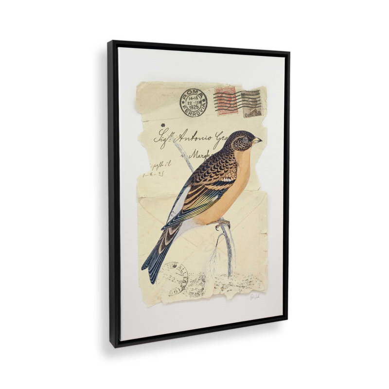 Impression sur toile Mountain Finch par Deborah Revell, H 24 po x l 18 po, Cadre flottant, Noir