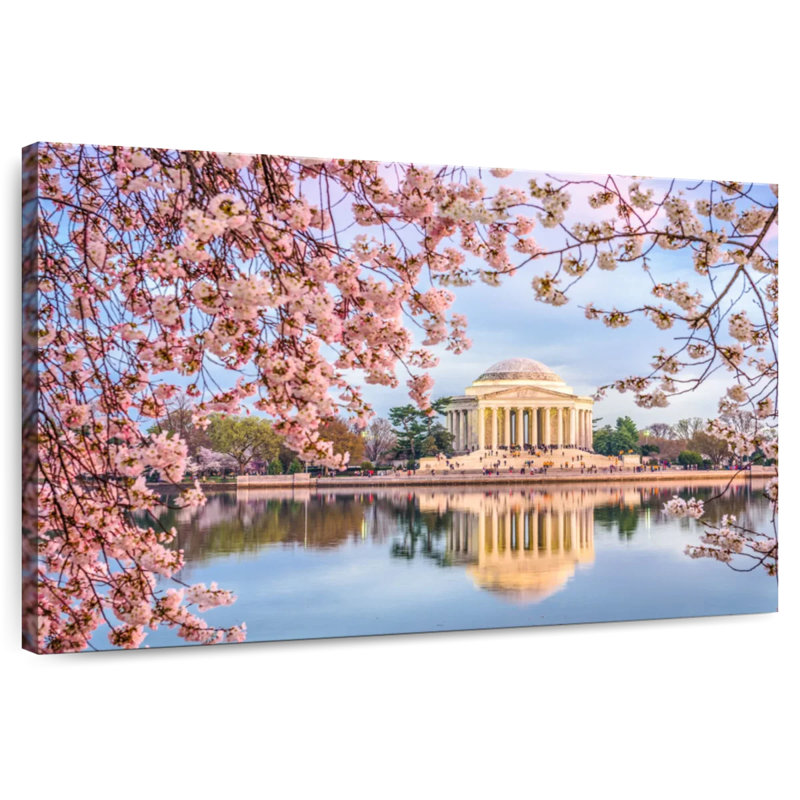 Sireci Washington Cherry Blossoms
