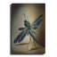 «Dragonfly» par Tanya Mavric sur métal-1264134175