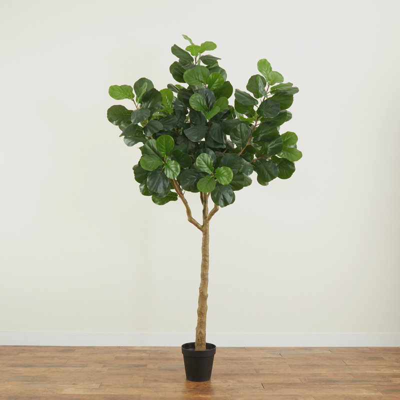 Alviso 120'' Faux Fiddle Leaf Fig Tree in Pot