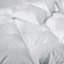 Goose All Season Down Comforter-1044614274