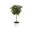 Pot à fleurs décoratif en ficus blanc 18 po Algreen