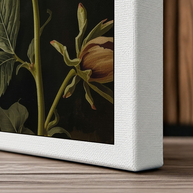 White Bloom Study Botanical - Wrapped Canvas, 18x12 - 45.7 x 30.5 cm, White Border