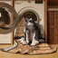  Tapis lavable Foldex Cats-729440898