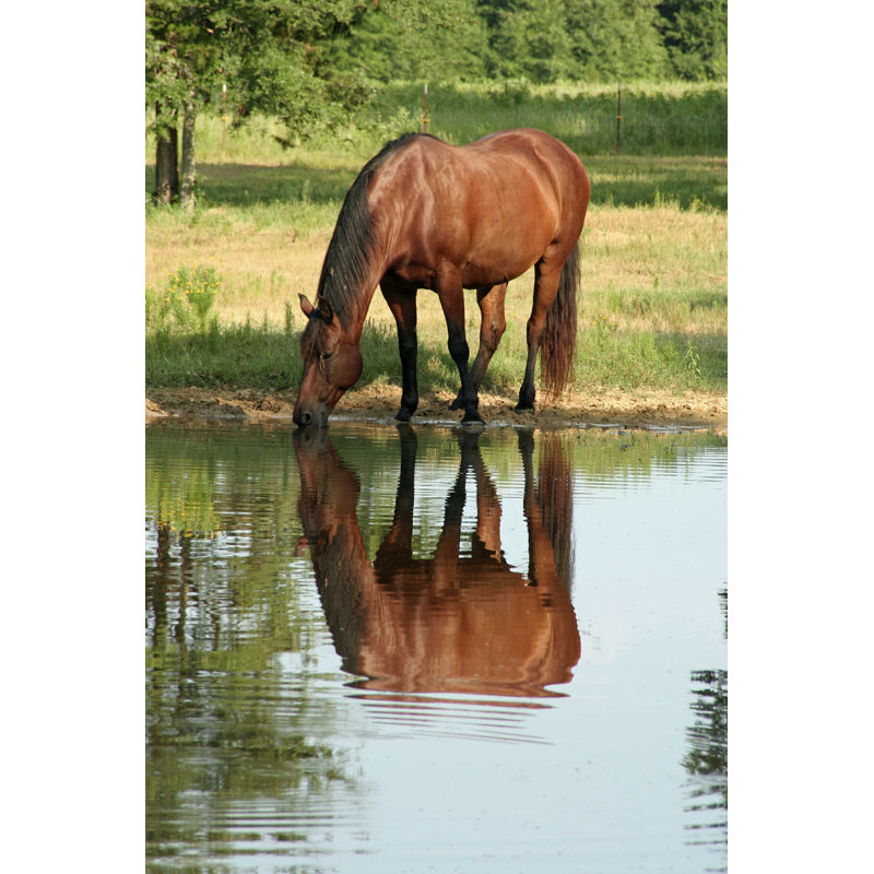 Pond Reflection par Kkgivens - photographie sur toile tendue, L 12 po x H 18 po