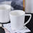 Stone Lain Madeline 32-Piece Dinnerware Set Bone China