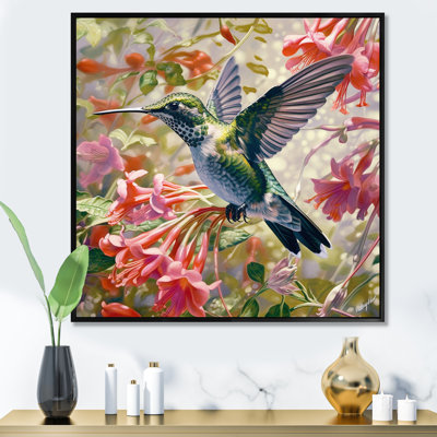 Colibri gracieux II