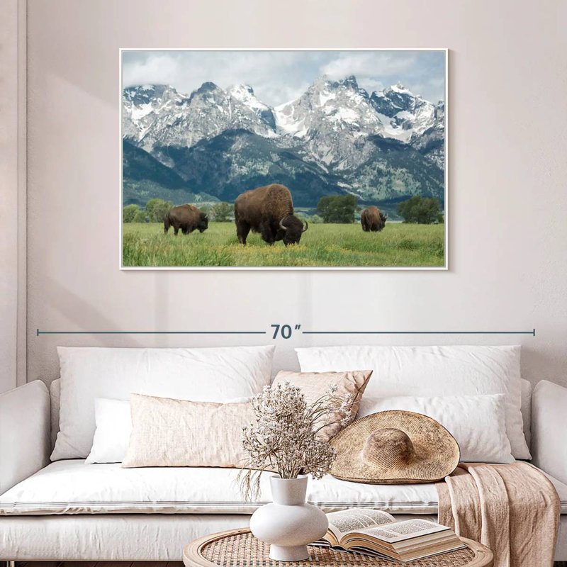 Bison Teton broutant, Cadre flottant blanc, 46 po x 31 po
