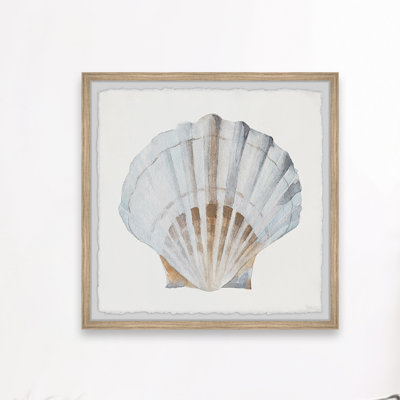 " Pretty White Shell " by Parvez Taj Watercolor Painting