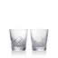 Waterford Celebration 11.5oz Tumbler