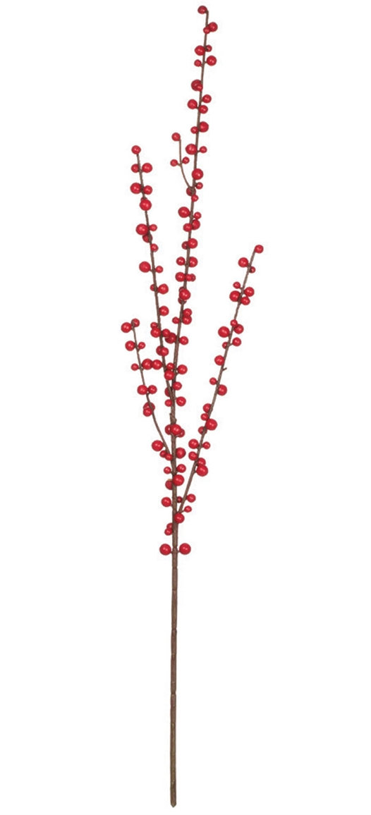 Kathreen Berry Arrangement
