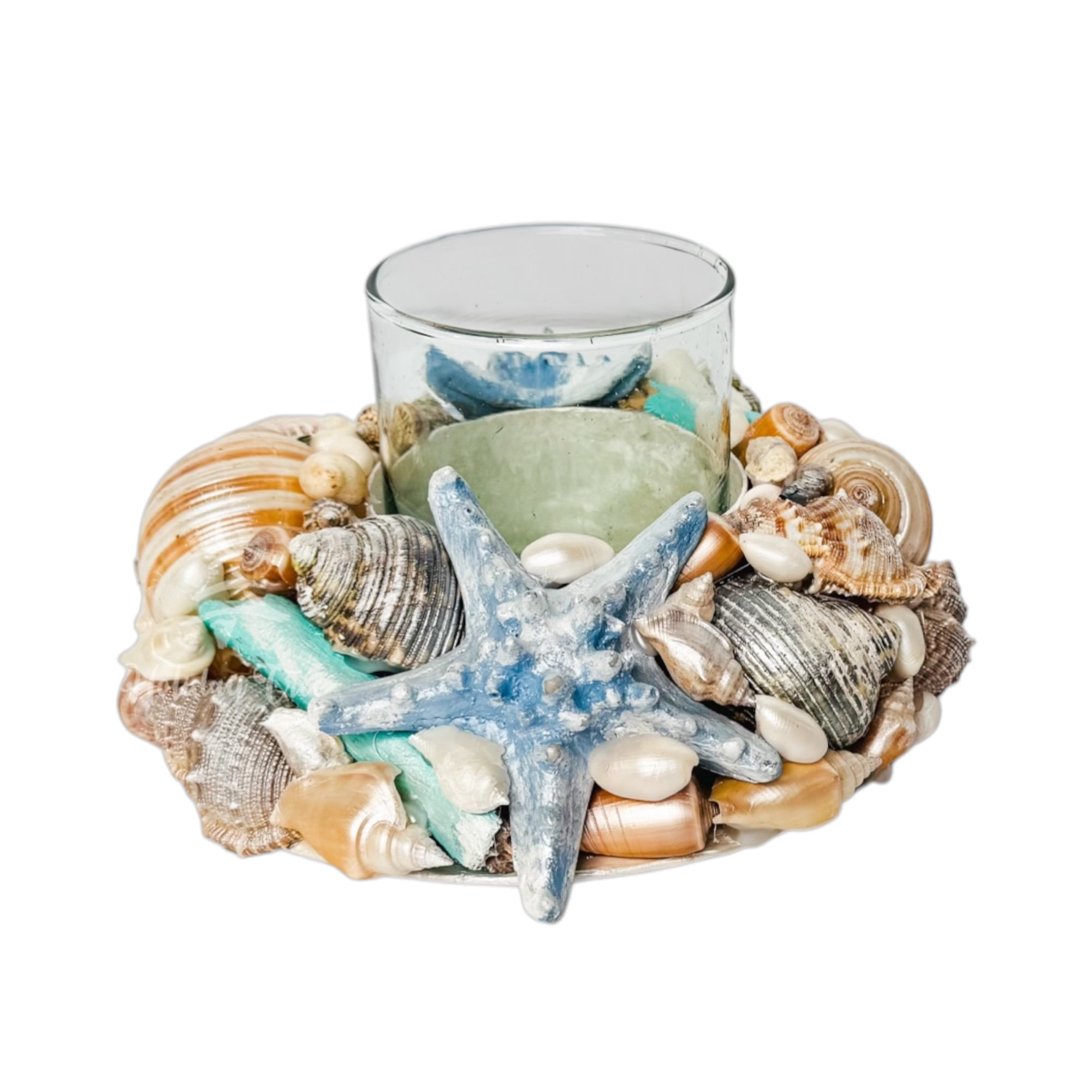 Dovecove Coastal Shell Hurricane | Wayfair