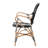 Dining Chair(Only Dining Chairs)