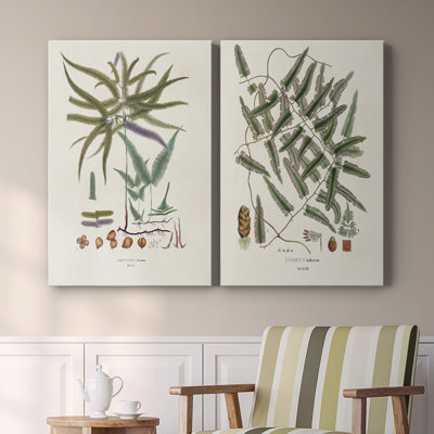 Botanical Society Ferns VIII - Toile tendue avec châssis de qualité supérieure - Prêt à être accroché