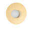 Flush Mounted Sconce