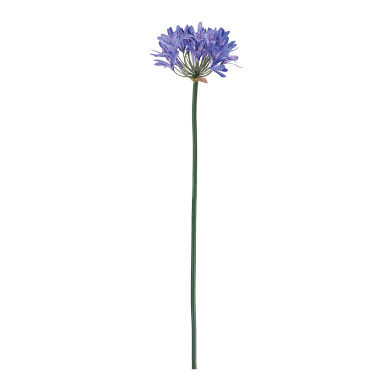 Tige de fleur Agapanthus (ensemble de 2), Vert, mauve, rose