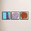 Tangle. Set Of 3 Print by Stephanie Dennis-2085882968-2085882971