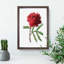 Red Tree Peony - Picture Frame Painting Print-55598382-55598383