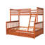 Lit superposé simple en noyer pour une configuration de chambre polyvalente avec options de rangement, élégant-31865351