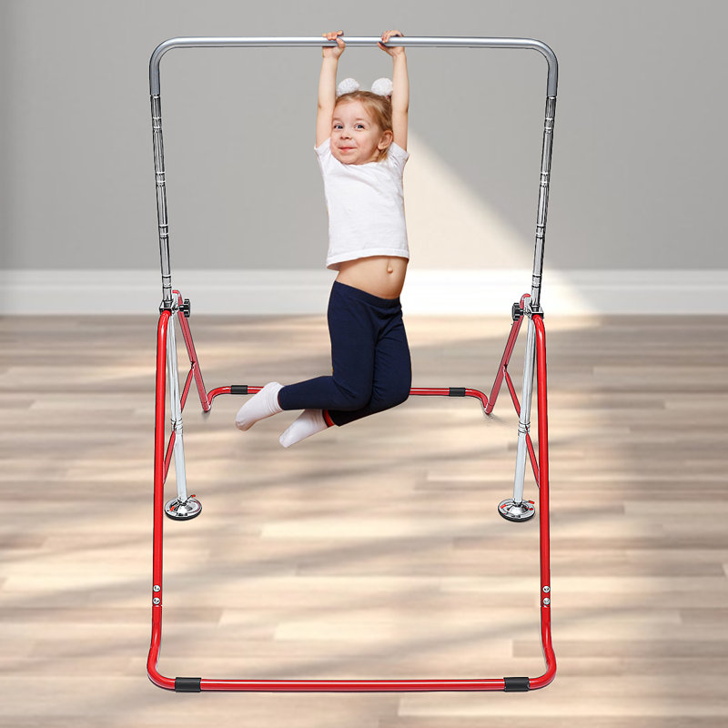 Cage à singe en acier