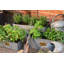 Rambo Handmade Metal Planter Box-18675252