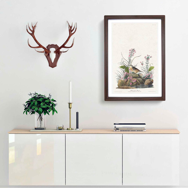 Yellow-Winged Sparrow by John James Audubon - Picture Frame Art Print, Walnut Framed, 36cm H x 27cm W x 2cm D