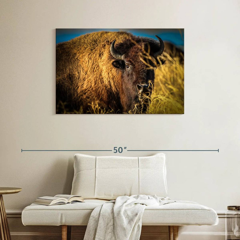 Brampt Grazing American Buffalo, 26" H x 39" W