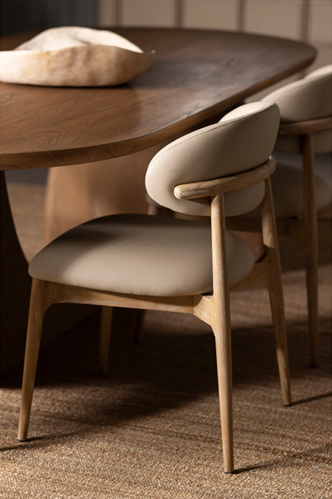 Dining Chairs