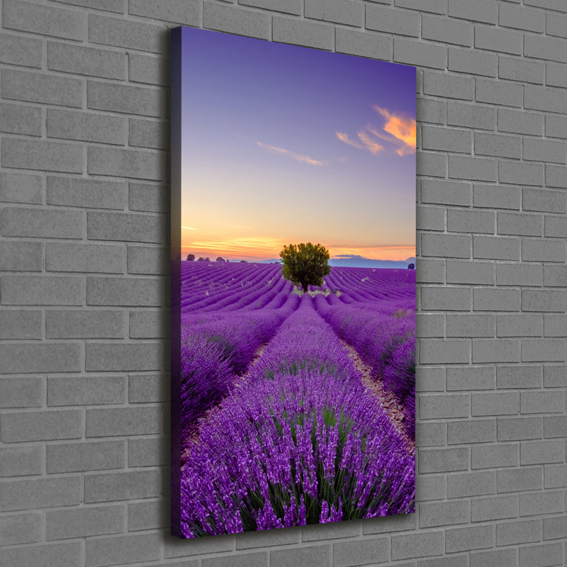 Lavender Field - Wrapped Canvas Print