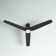 Ameeyah 52'' Ceiling Fan with LED Lights
