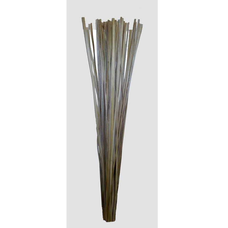 Willow 50.5'' Branch